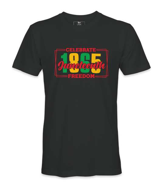 Celebrate Juneteenth T-Shirt