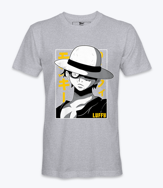 One Page Luffy Anime