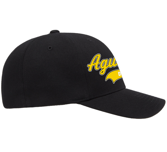 Aguilucho Desde Chiquitito Hat
