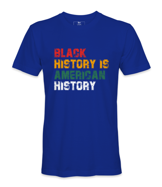 Black History Is American History T-Shirt
