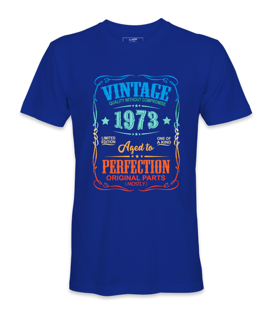 Vintage 1973 - T-shirt