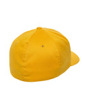Aguilas Retro  Hat