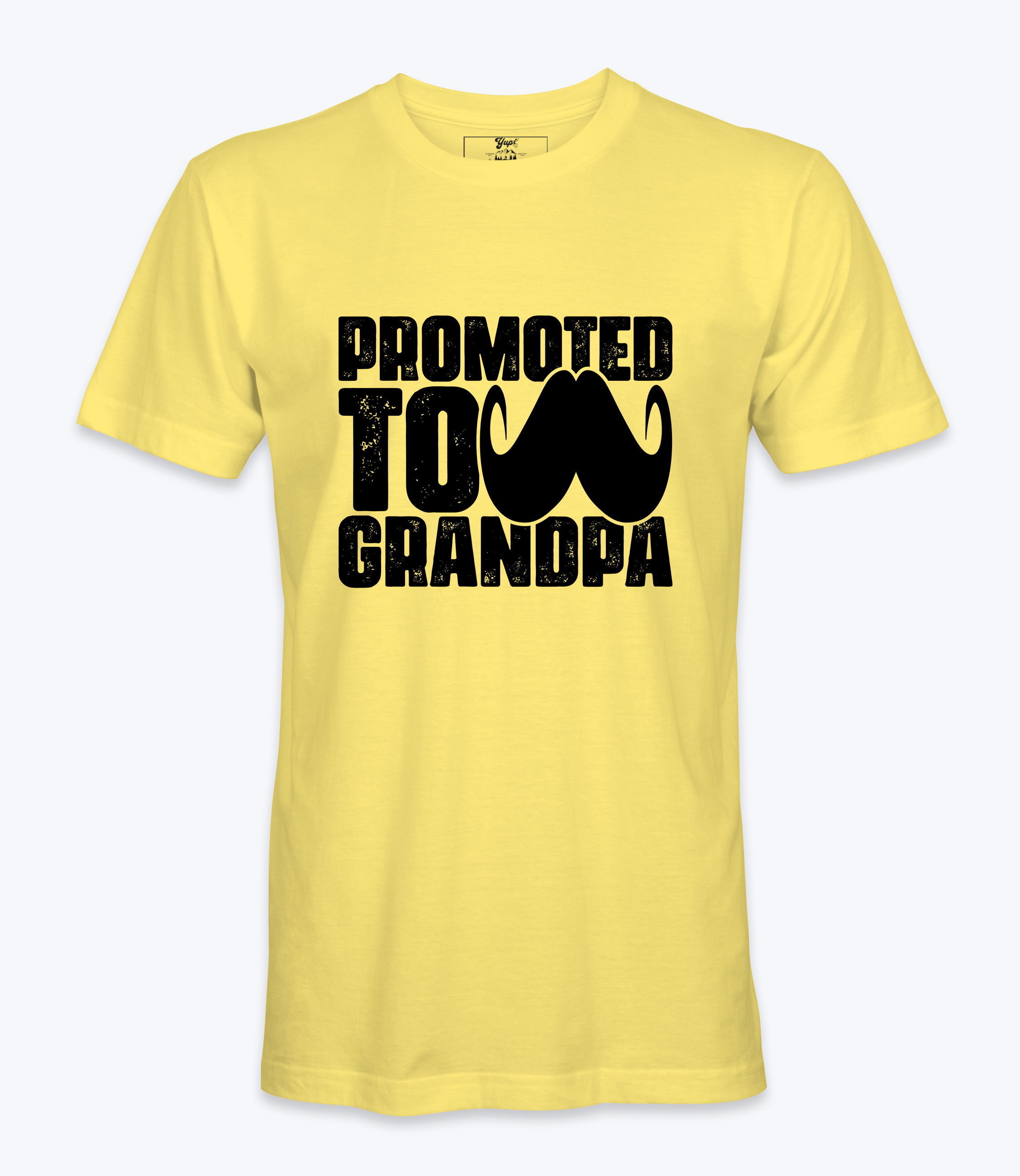 Promoted To Grandpa - T-shirt