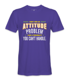 I Don't Have An Attitude Problem - T-shirt