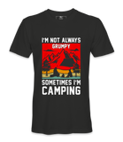 I'm Not Always Grumpy - T-shirt