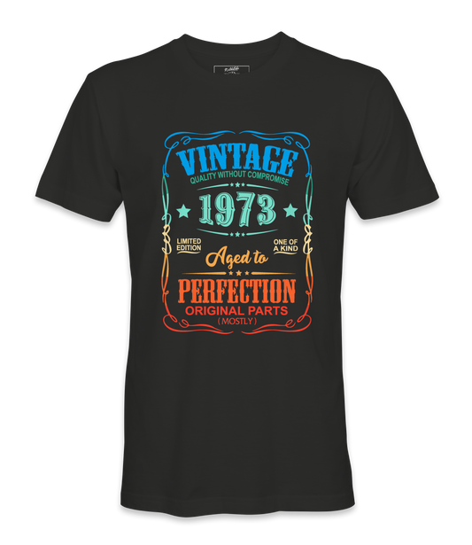 Vintage 1973 - T-shirt