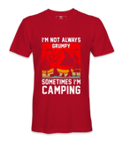 I'm Not Always Grumpy - T-shirt